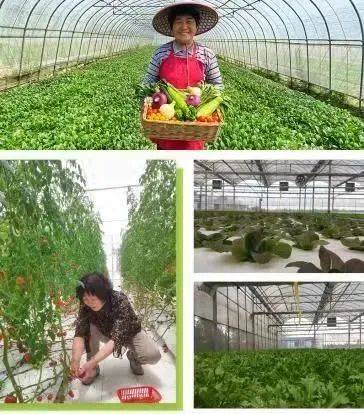 松江应季农产品推荐 果蔬与水产的盛宴