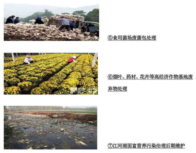碧野生态农业科技 以科技赋能生态农业，推动农业开发与农业机械协同发展