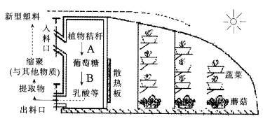从“可降解塑料”到高效农业 科技温室大棚中的材料化学与颜色逻辑